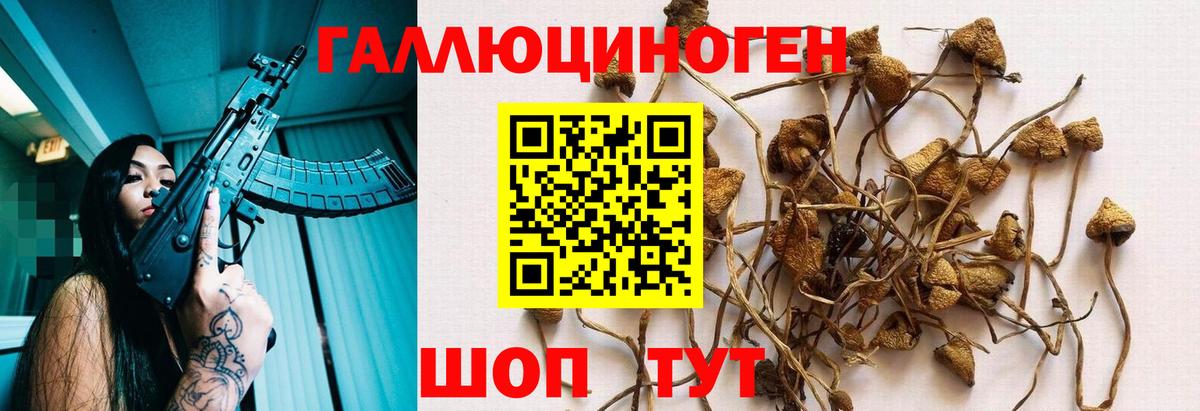 Галлюциногенные грибы ЛСД  Псилоцибиновые грибы мицелий  Вход с VPN  Волгоград 
