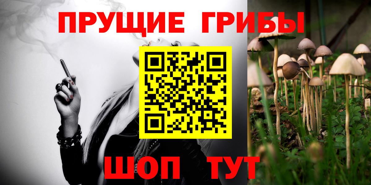 Псилоцибиновые грибы Psilocybine cubensis Волгоград